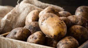 Écrase-Pommes De Terre En Acier Inoxydable - Presse-Légumes Manuel, 25,3 Cm - Cuisine Maison - 3
